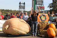 Identifying the Best Giant Pumpkin Seed: A Statistical Approach