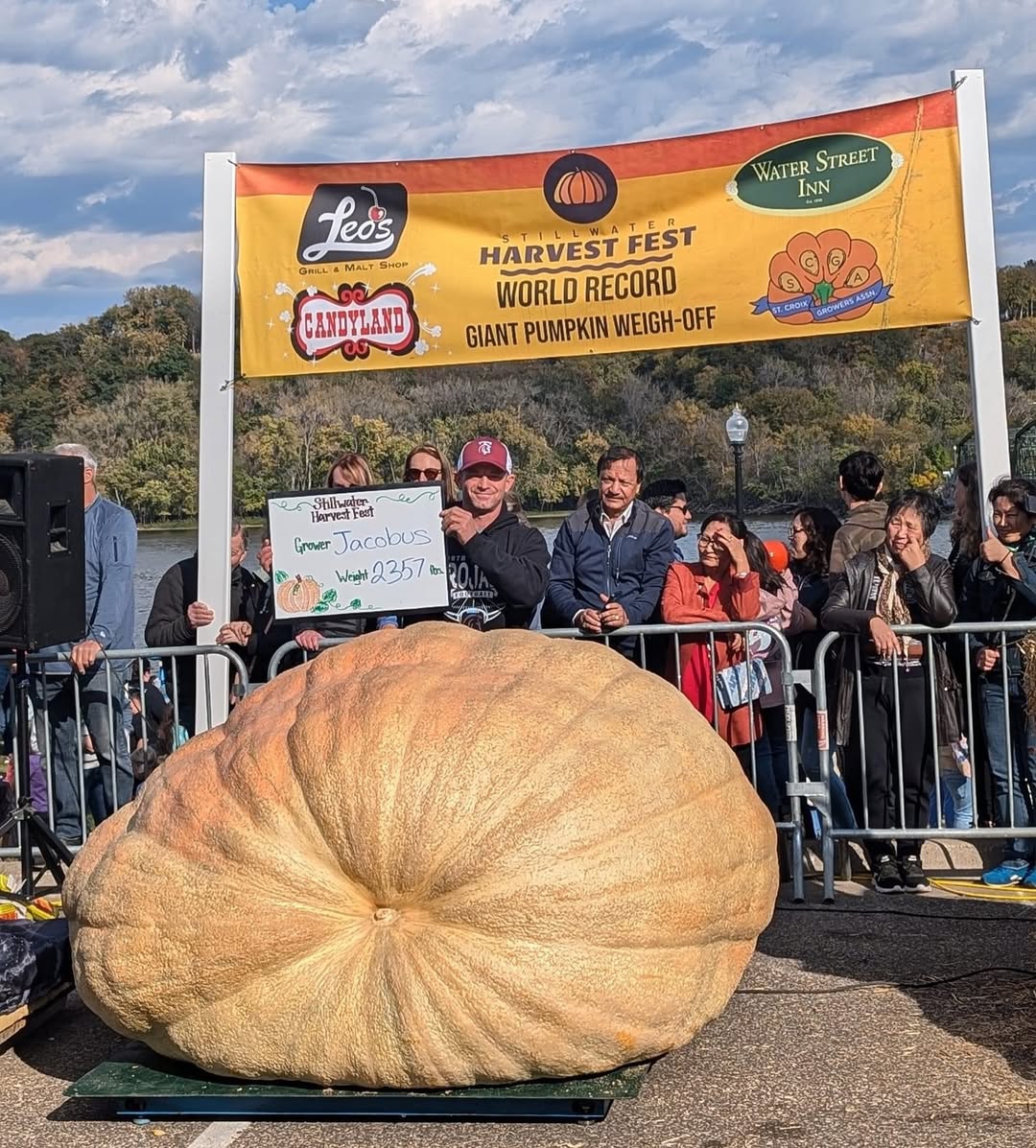 Best of Harvestfest 2024: Top 3 2000lb Giant Pumpkin Seeds