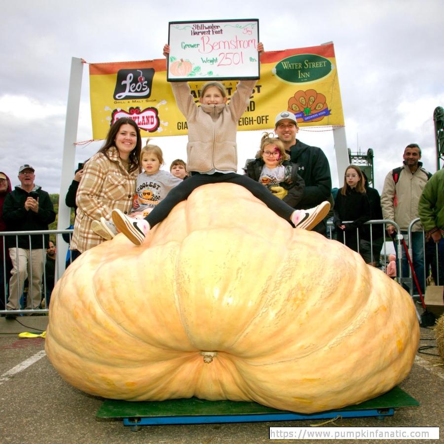 2501 Bernstrom Giant Pumpkin Seed, '23 heaviest pumpkin