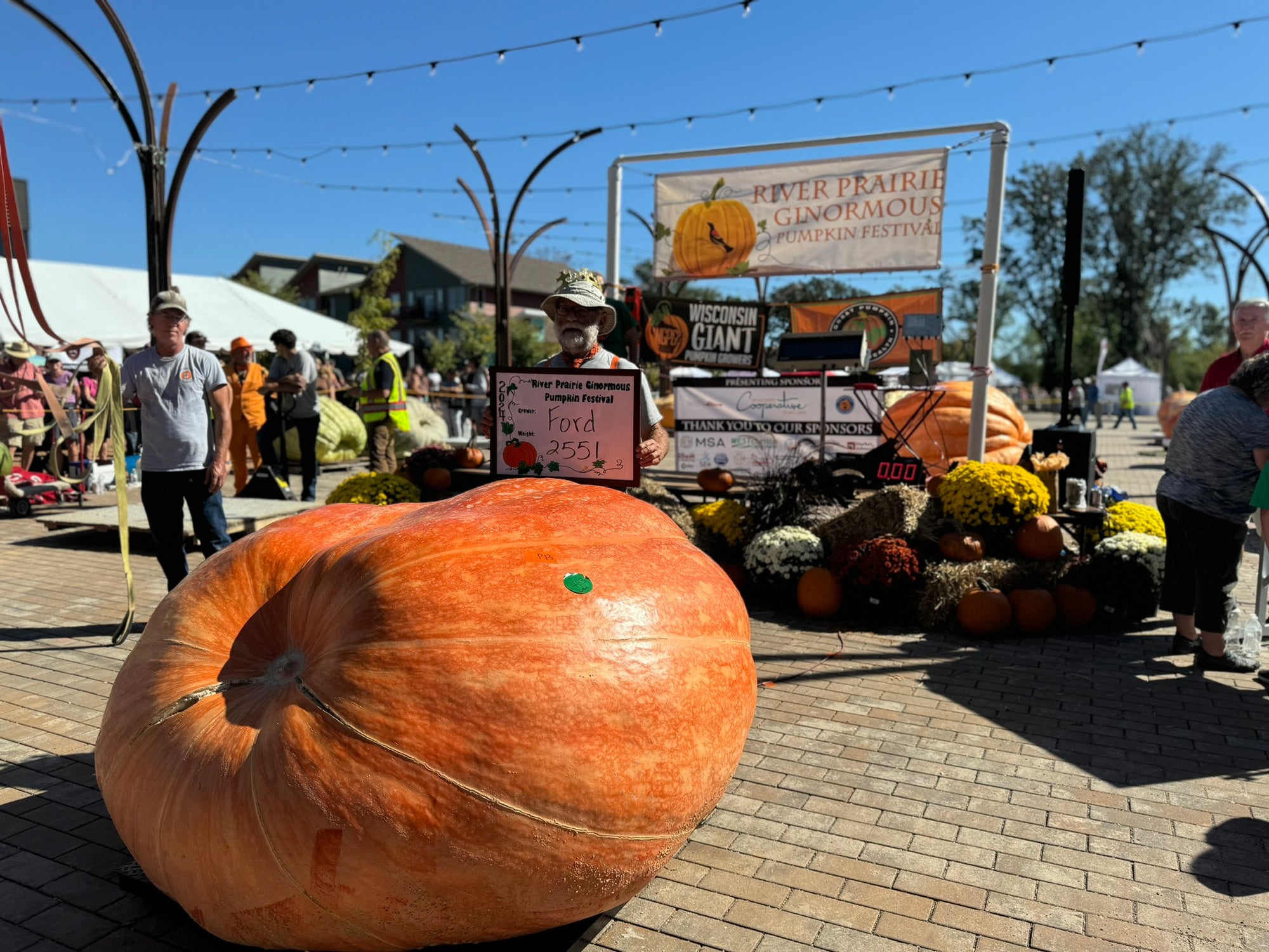 13,300lbs of Giant Pumpkin Genetics: Altoona top 6 seeds