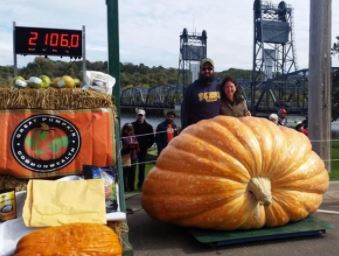 10,000lbs of Giant Pumpkin Genetics: 5 seeds from 2000lber's