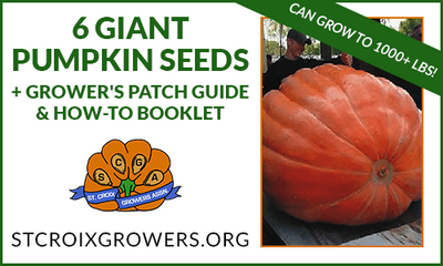 Atlantic Giant Pumpkin Seed Pack with Grower's Patch Guide & How-To Booklet