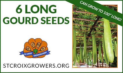 Long Gourds