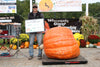 865lb Ailts dark orange Giant Pumpkin Seed