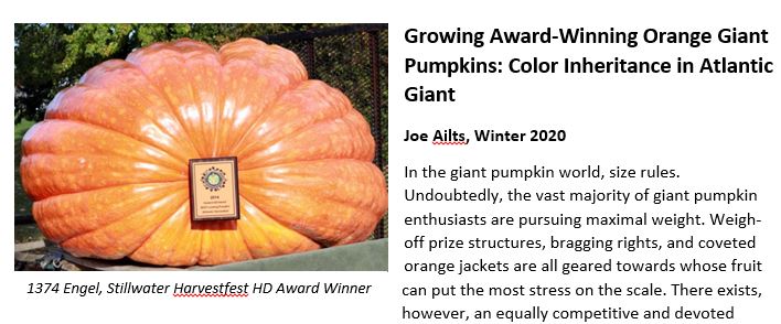 Digital Article: Growing Award-Winning Orange Giant Pumpkins